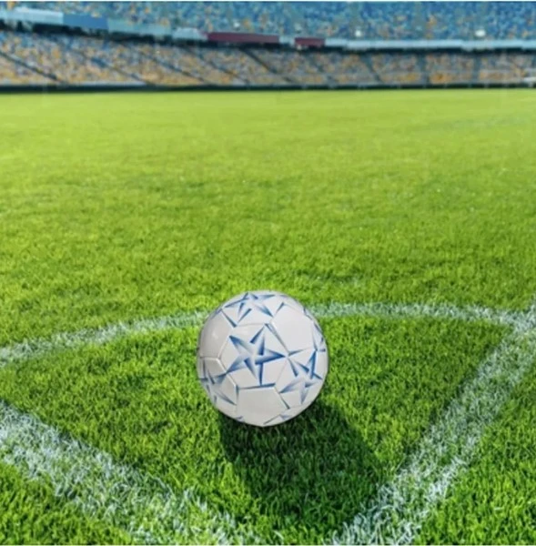 BOLA DE FUTEBOL  ZIPPY TOYS