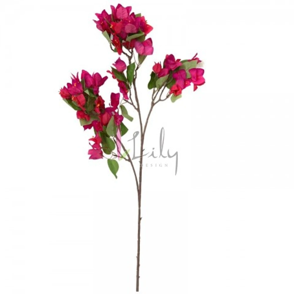 GALHO DE BOUGAINVILLE ROXO LILY