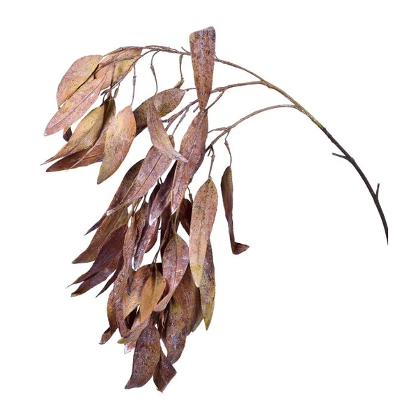 GALHO DE FOLHAS DE EUCALIPTO GRILLO