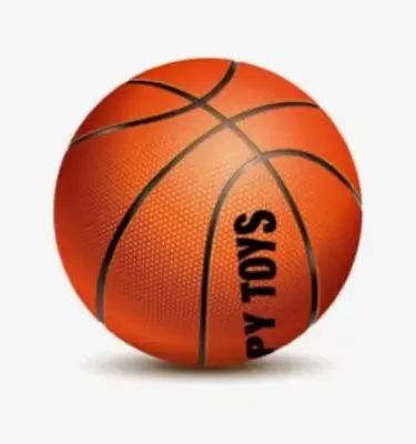 BOLA DE BASQUETE ZIPPY TOYS