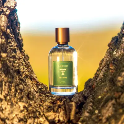 COLÔNIA ANGICO 100ML SOL E FLORA
