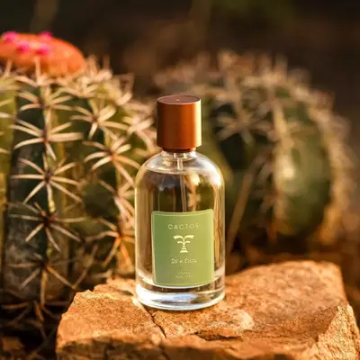 COLÔNIA CACTUS 100ML SOL E FLORA