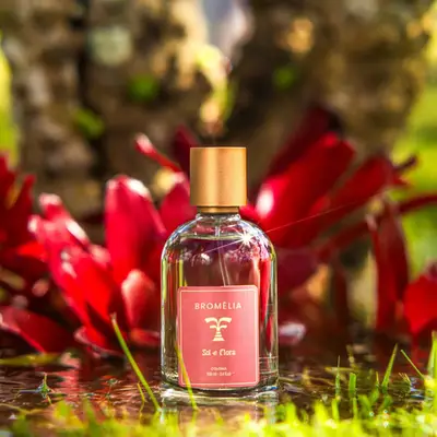COLÔNIA BROMÉLIA 100ML SOL E FLORA