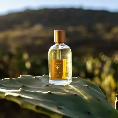 COLÔNIA PALMA 100ML SOL E FLORA